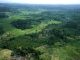 La Côte d’Ivoire perd 200.000 hectares de forêts chaque année