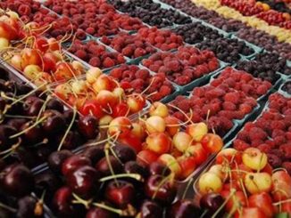 Larache : L’ouverture du 2ème festival des fruits rouges est reportée au 22 mars