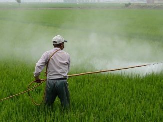 La FAO organise 3 évènements pour appuyer le Maroc dans la gestion des pesticides