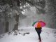 Vague de froid