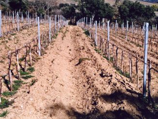 Alerte sur la dégradation des sols et son impact sur les humains