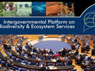 La Colombie accueille la 6ème session annuelle plénière sur la biodiversité et les services écosystémiques (IPBES)