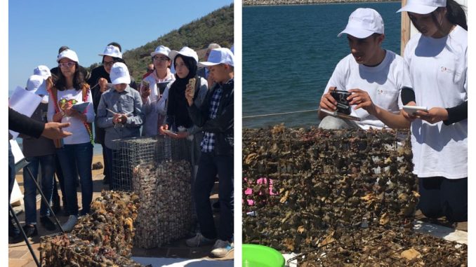 FM6E : Opération sensibilisation à la protection du littoral et de l’Océan