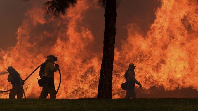 Feu de forêt - Californie