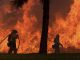 Feu de forêt - Californie