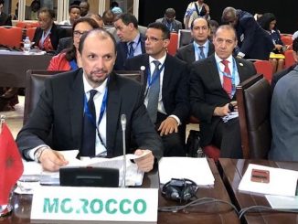 Ministre délégué auprès du ministre des Affaires étrangères et de la coopération internationale chargé de la coopération africaine