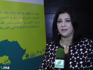 Mme Rajae CHAFIL, directrice du Centre marocain des compétences sur le changement climatique 4C MAROC