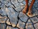 afrique-changement-climatique