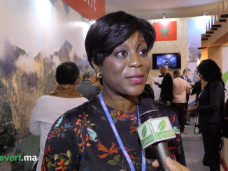 Arlette Soudan Nonault, ministre du Tourisme et de l'environnement du Gongo.
