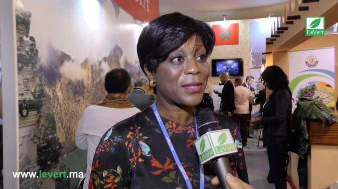 Arlette Soudan Nonault, ministre du Tourisme et de l'environnement du Gongo.