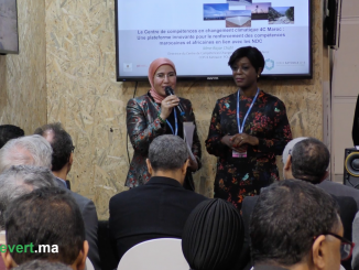 El Ouafi - Le 4C Maroc se doit de renforcer les capacités africaines