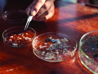 Le microplastique, cette pollution invisible