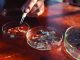 Le microplastique, cette pollution invisible
