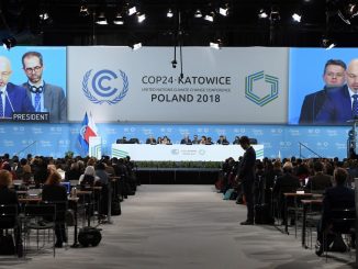 cop24