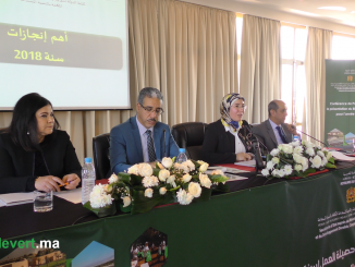 كتابة الدولة المكلفة بالتنمية المستدامة تستعرض حصيلة سنة 2018