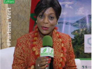 Parlons vert : L’interview sans fard d’Arlette Soudan Nonault