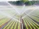 Irrigation agricole