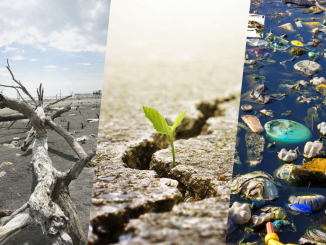 Les dommages environnementaux