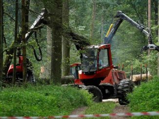 Déforestation : L'année 2018 était catastrophique pour les forêts primaires