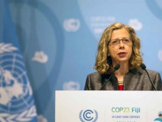 Inger Andersen directrice exécutive du Programme des Nations Unies pour l’environnement