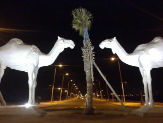 مؤتمر الاستثمار الأخضر الذي ينظم في إطار الدورة ال15 لموسم طانطان