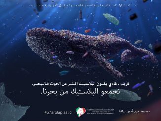 #b7arblaplastic