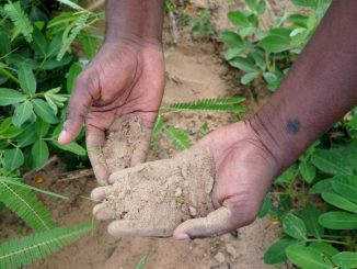 Climat : Ce qu'il faut retenir du dernier rapport du Giec