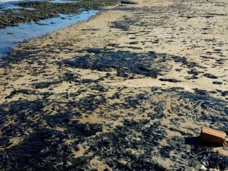 Brésil : une mystérieuse pollution souille plus de 130 plages