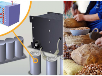 valorisation des coques d’Argan dans des technologies durables