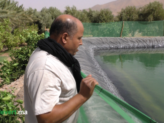 قصة نجاح الطاقات المتجددة يرويها فلاح من بويزكارن جنوب المغرب