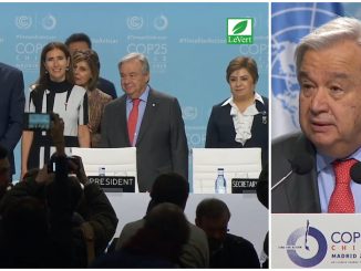#COP25 : ouverture de la Conférence des Nations Unies sur les changements climatiques à Madrid