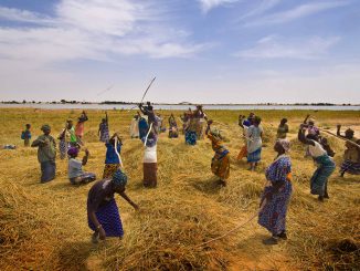 L'Afrique a besoin d'un soutien établi et durable, Arrêtez de nous aider ça nous tue !