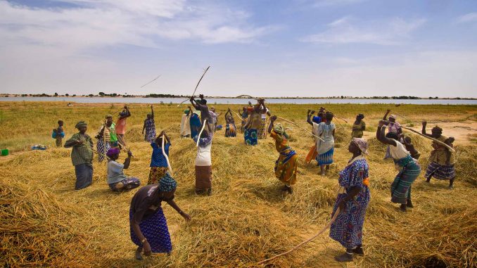 L'Afrique a besoin d'un soutien établi et durable, Arrêtez de nous aider ça nous tue !