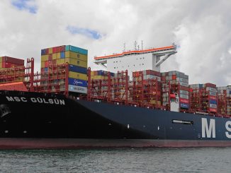 MSC GULSUN kees torn