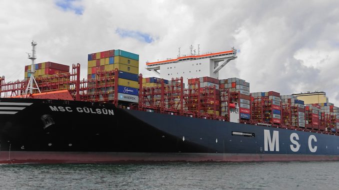 MSC GULSUN kees torn MSC GULSUN kees torn
