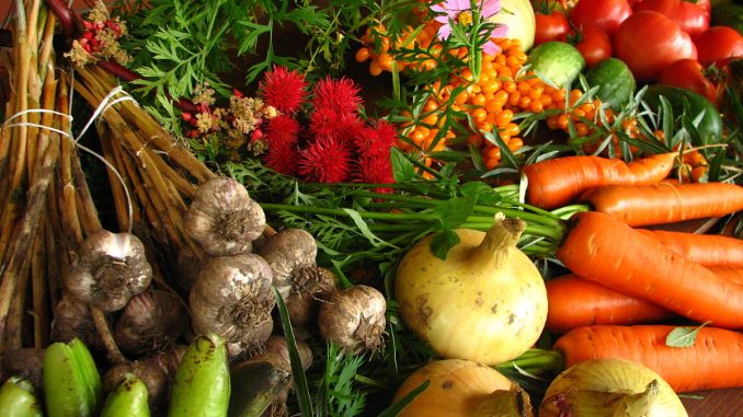 approvisionnement en produits alimentaires depuis la production agricole