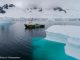 Pollution : du microplastique découvert dans la chaîne alimentaire de l'Antarctique