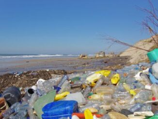 Climat : Top 10 des choses qui polluent et qui ne sont pas franchement indispensables !