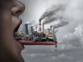 Pollution : Près de 500.000 nouveau-nés sont morts de la pollution de l’air en 2019