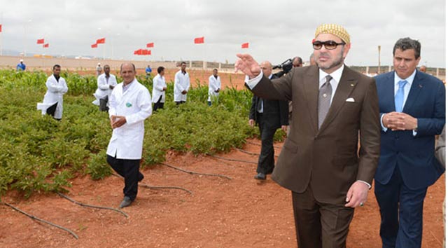Génération-Green-2020-2030 Agriculture Maroc