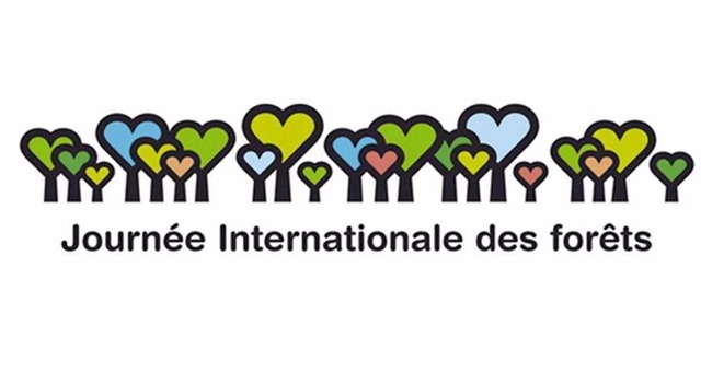 Journée internationale des forêts