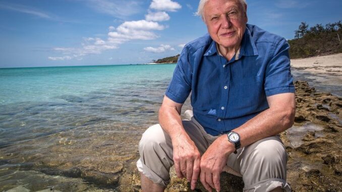 David Attenborough reçoit le prix environnemental David Attenborough