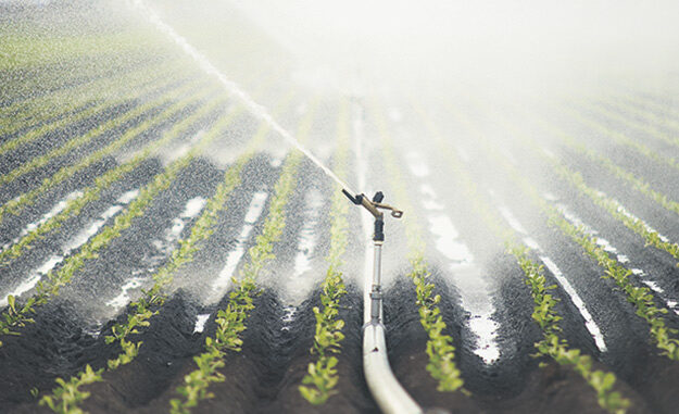 Agriculture
