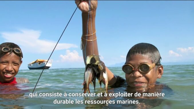 Journée de l’océan : l’ONU appelle à conserver et à exploiter de manière durable les ressources marines