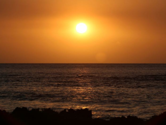 OMM: El Niño va entraîner des températures supérieures à la normale entre mars à mai