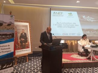 نظمت الوكالة الوطنية للمياه والغابات، يوم 25 أبريل 2024 بالرباط، ورشة عمل لإطلاق تحيين دراسة المناطق المحمية بالمغرب