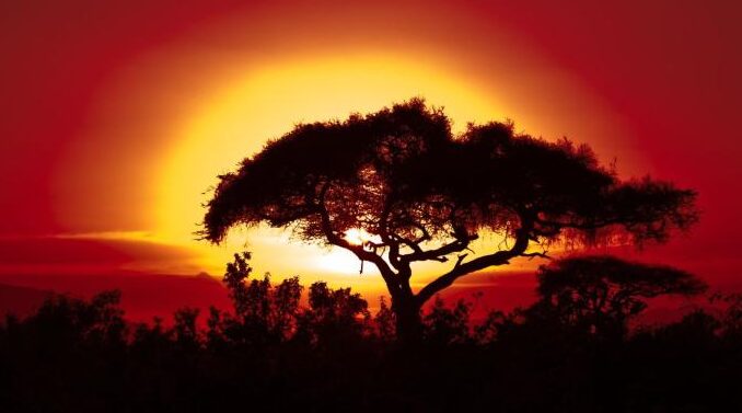 Les conditions météorologiques extrêmes et les effets du changement climatique frappent durement l’Afrique