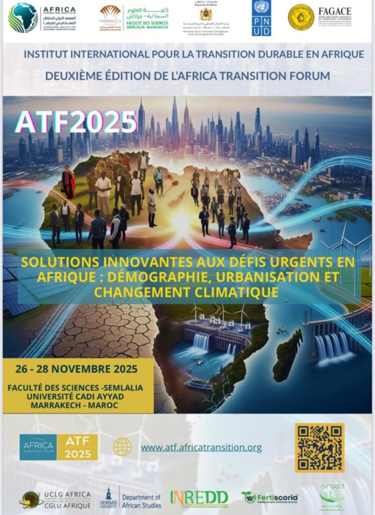 Africa Transition Forum 2025