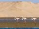 المناطق المحمية بالمغرب
